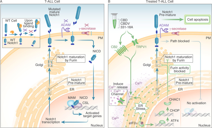 PMC11390110 – fig7