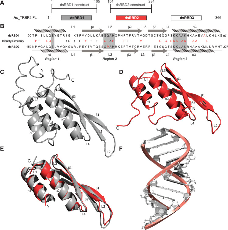 PMC11309768 – fig1
