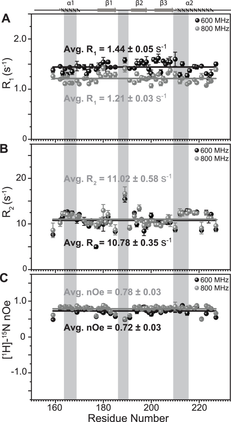 PMC11309768 – fig3s1