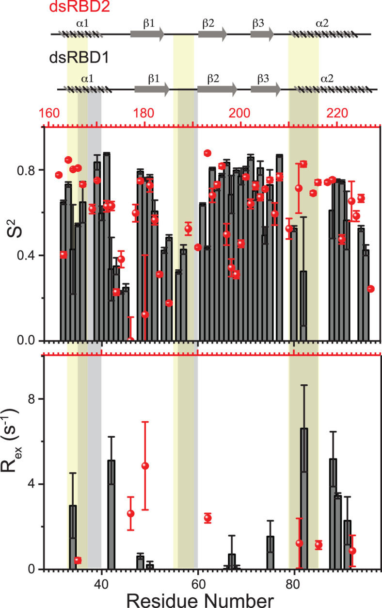 PMC11309768 – fig3s2