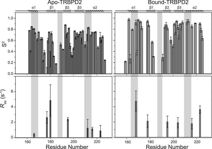PMC11309768 – fig3s4
