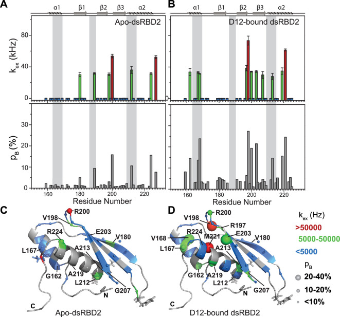 PMC11309768 – fig5