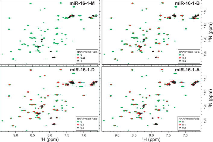 PMC11309768 – fig6s1