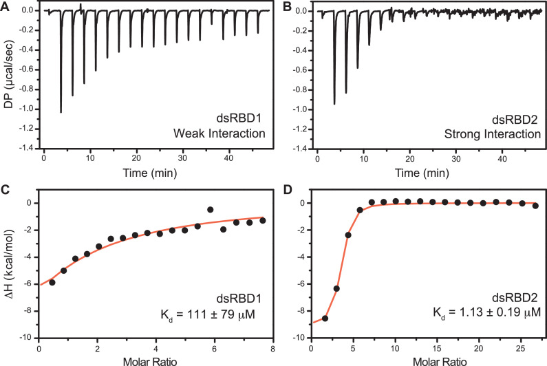 PMC11309768 – fig6
