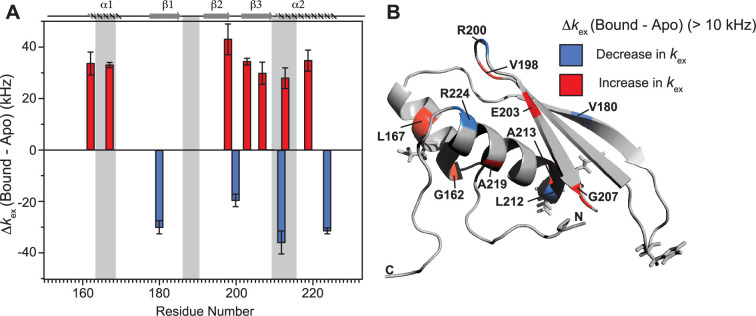 PMC11309768 – fig7
