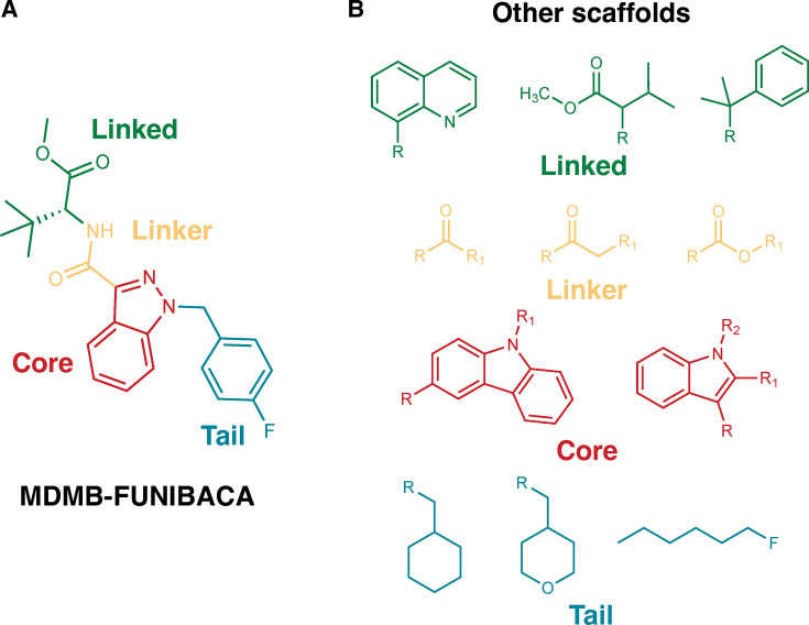 PMC12582568 – fig1s2