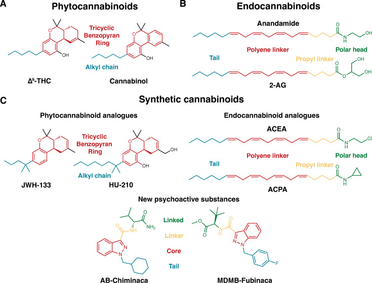 PMC12582568 – fig1