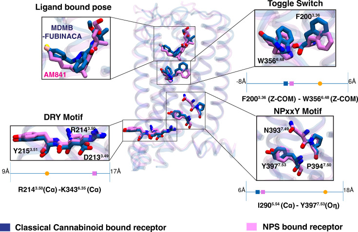 PMC12582568 – fig2