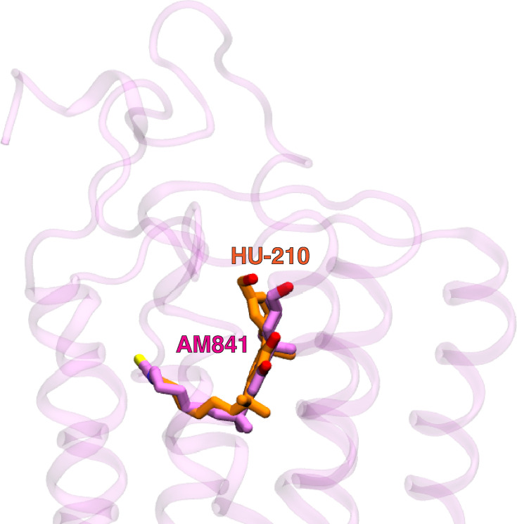PMC12582568 – fig3s1