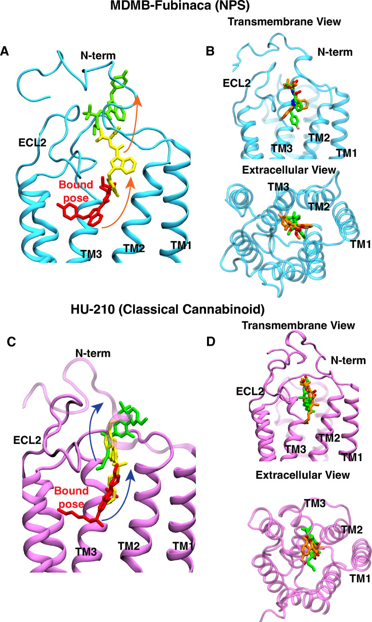 PMC12582568 – fig3