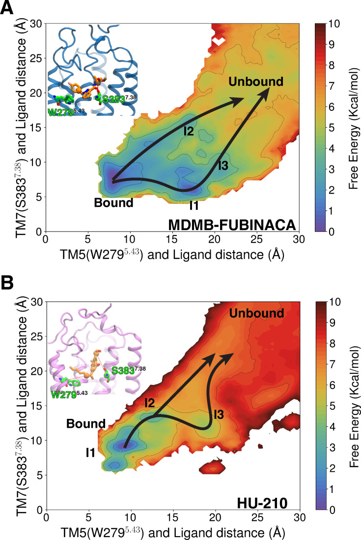 PMC12582568 – fig5