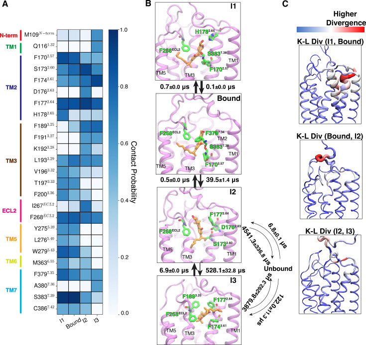PMC12582568 – fig7