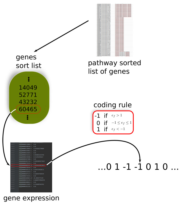 PMC9777913 – entropy-24-01744-f0A1