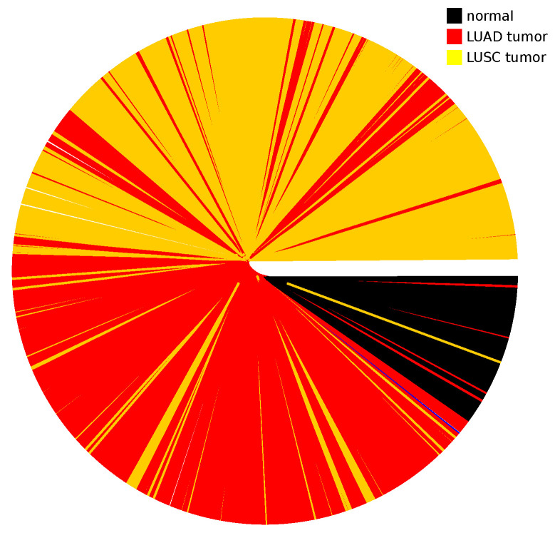 PMC9777913 – entropy-24-01744-f0A5