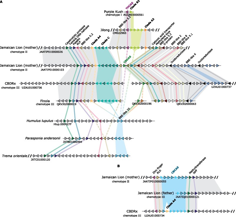 PMC8521752 – evab130-F4