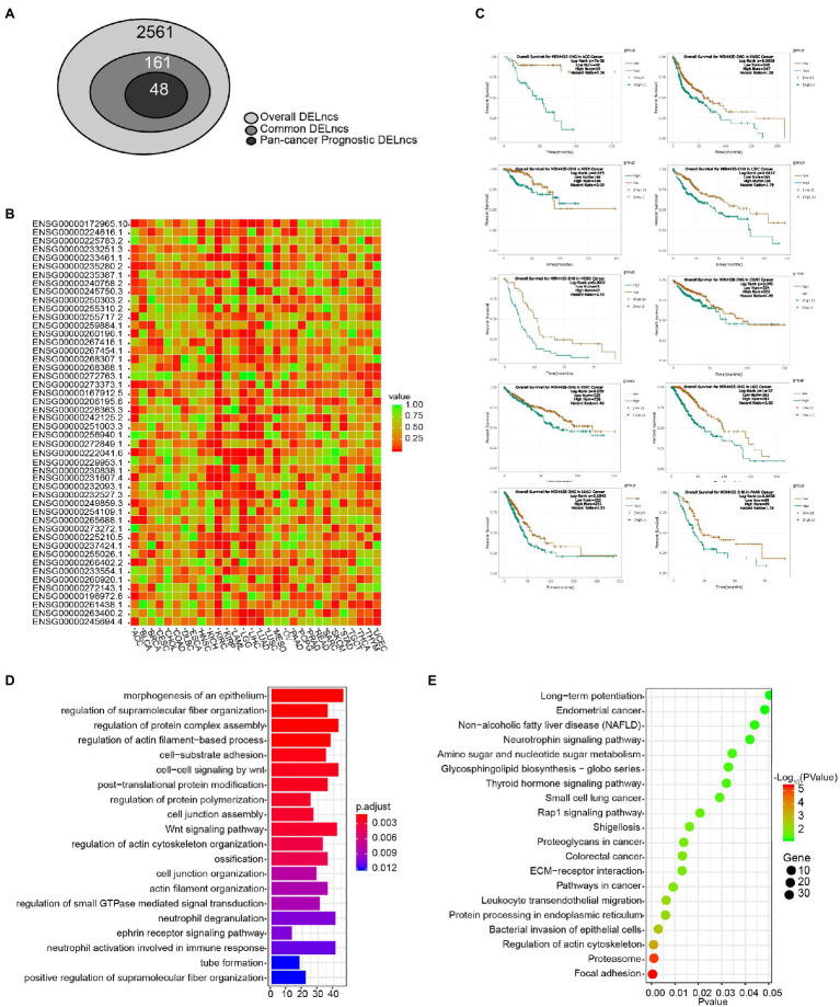 PMC8575119 – fig3