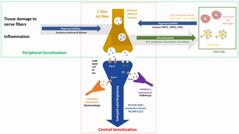 PMC12738272 – S3.F2