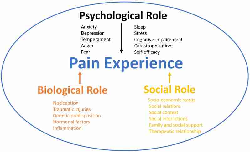PMC12738272 – S5.F4