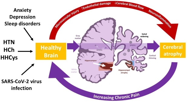 PMC12738272 – S7.F5