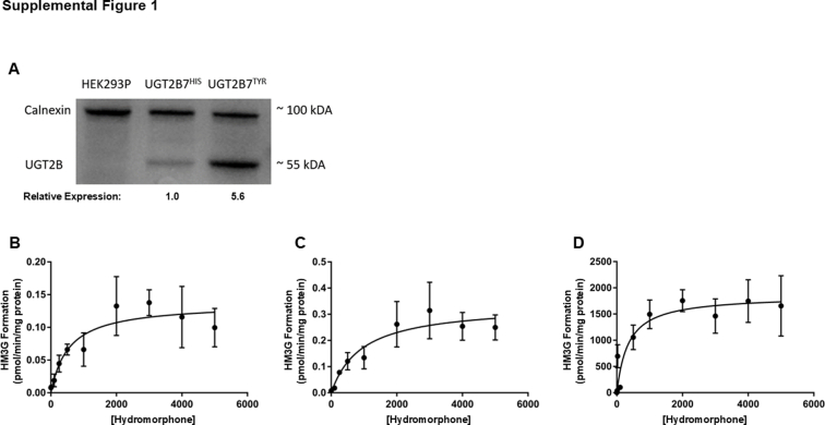 PMC12597549 – dfig1