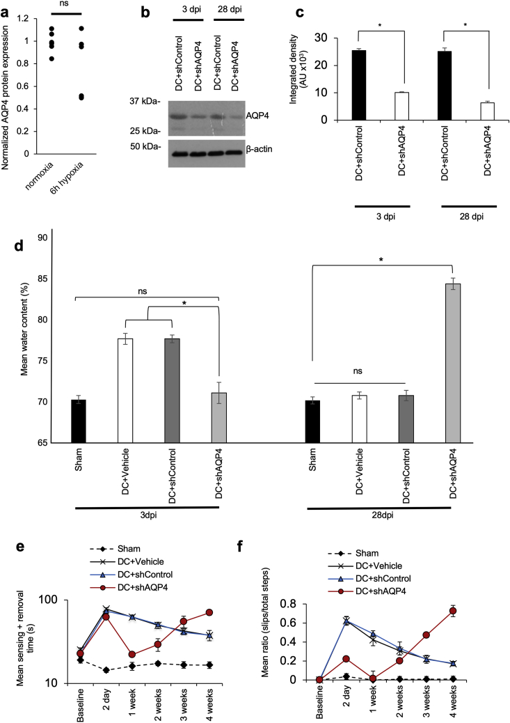 PMC7242911 – figs1