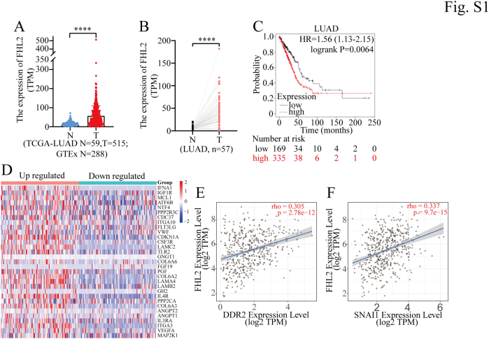 PMC12269609 – dfig1