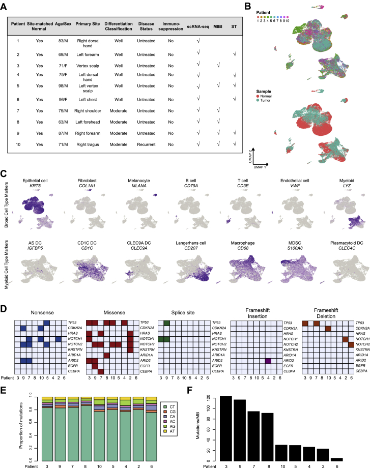 PMC7391009 – figs1