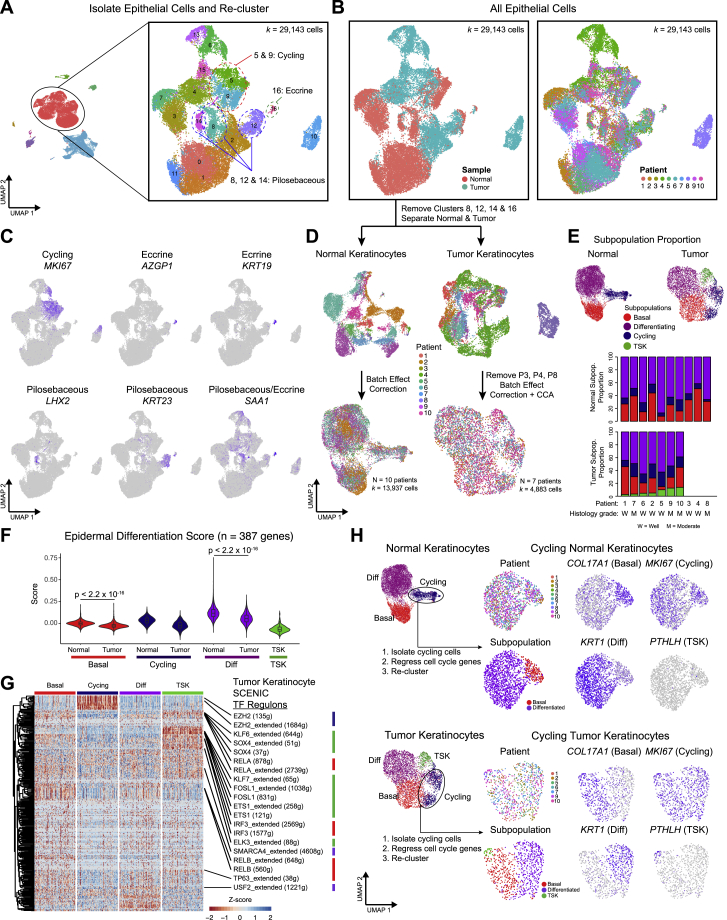 PMC7391009 – figs2
