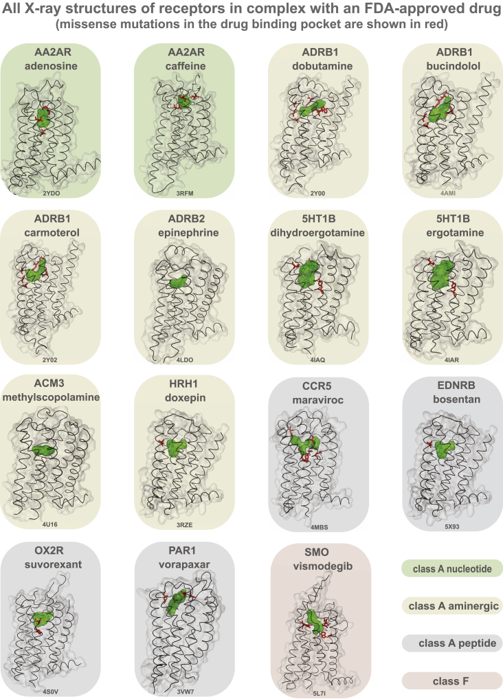 PMC5766829 – figs3