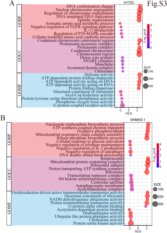 PMC12269609 – dfig3