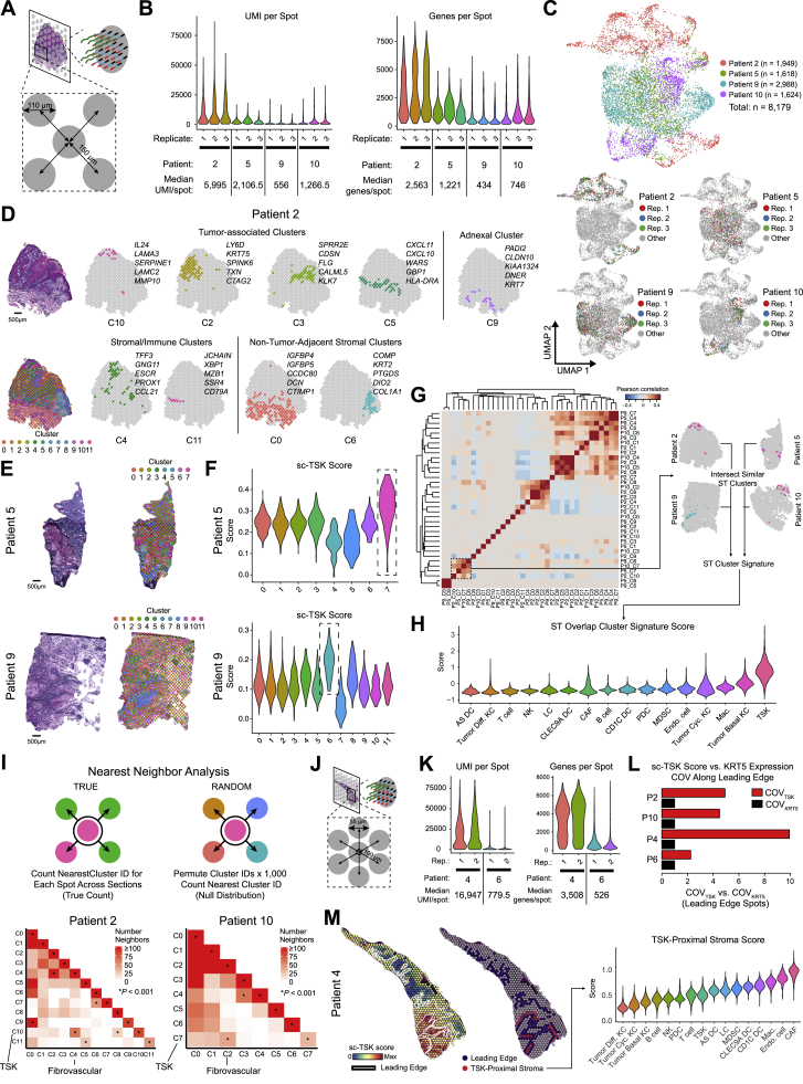 PMC7391009 – figs3