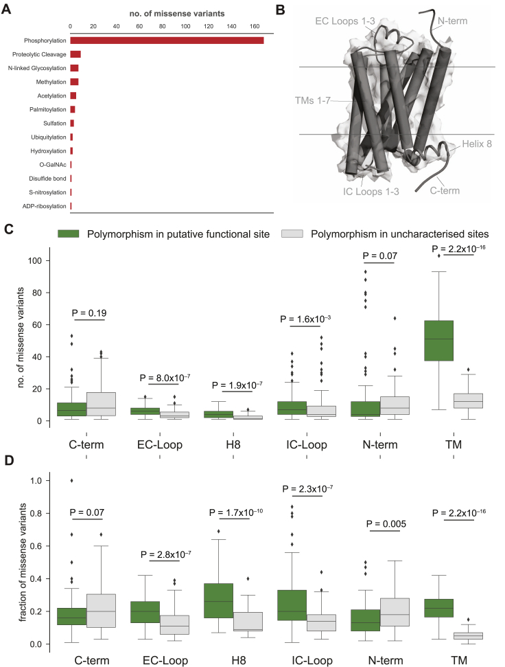 PMC5766829 – figs4