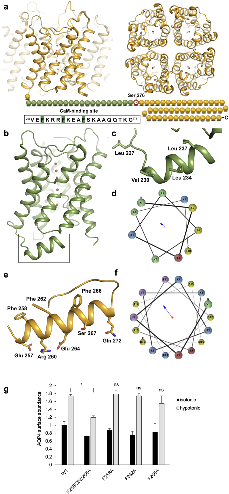 PMC7242911 – figs4