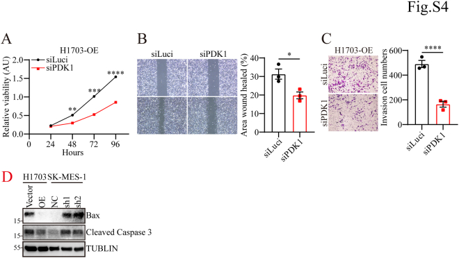 PMC12269609 – dfig4