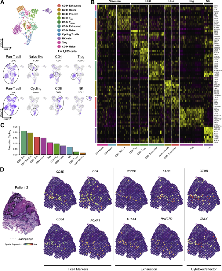 PMC7391009 – figs4