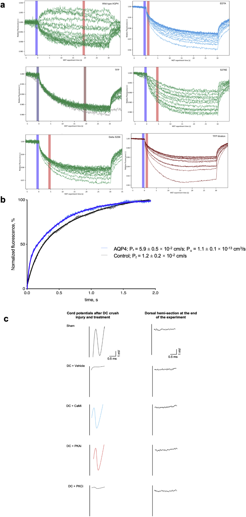 PMC7242911 – figs5
