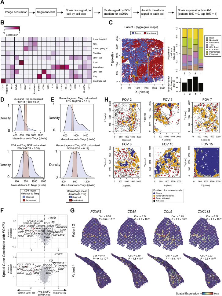 PMC7391009 – figs5