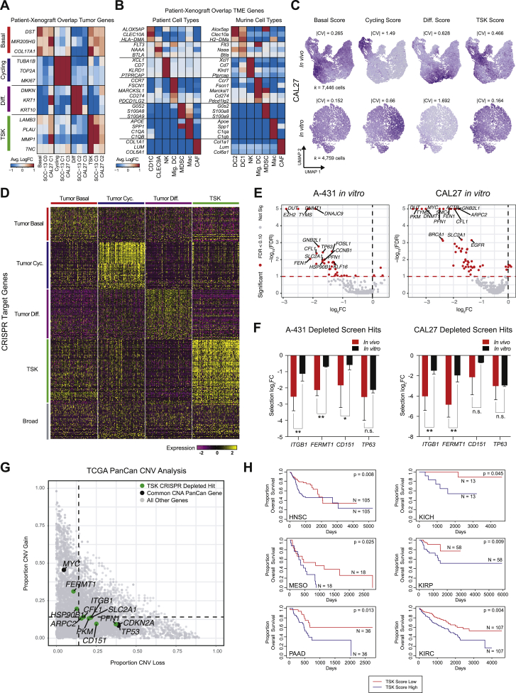PMC7391009 – figs7