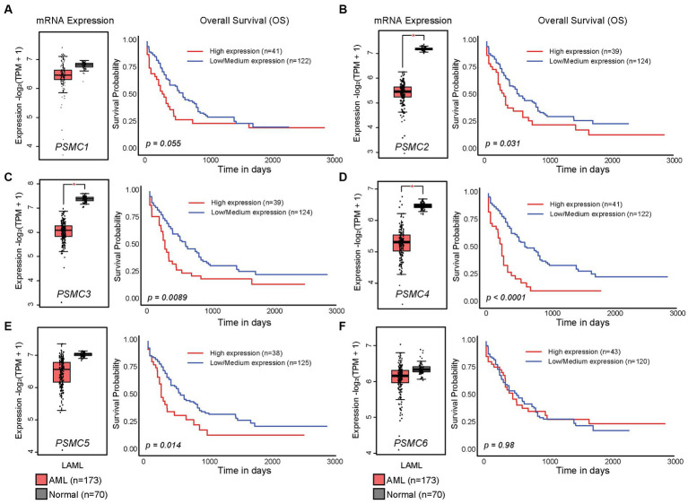 PMC10371016 – fig2