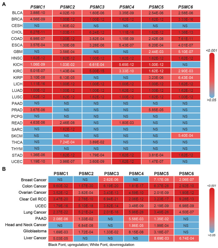 PMC10371016 – fig5