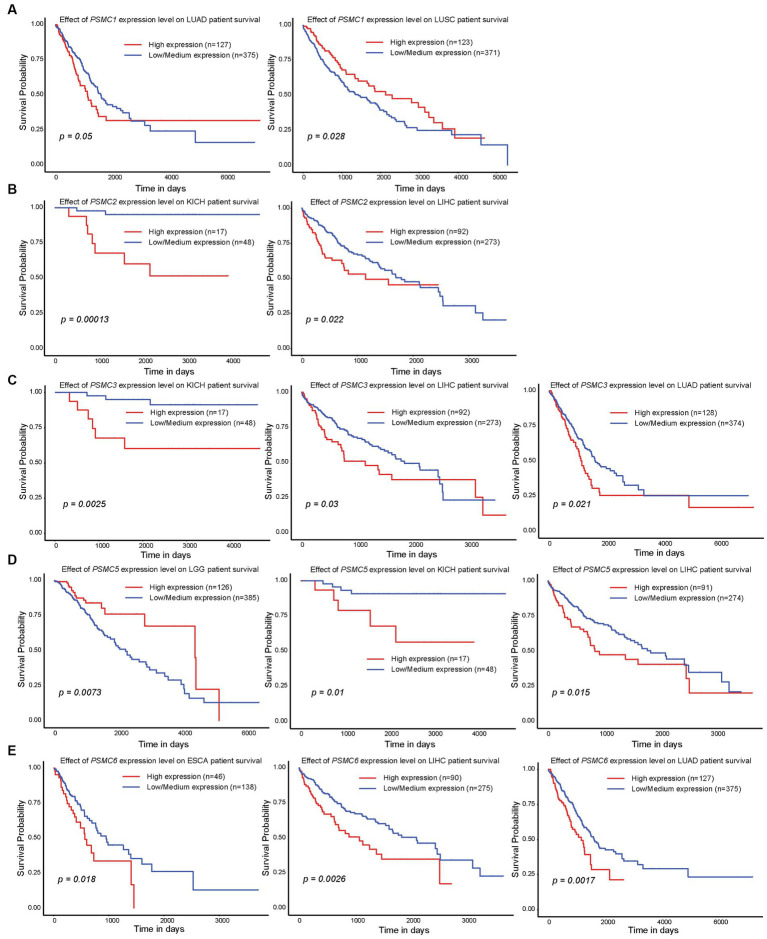 PMC10371016 – fig7