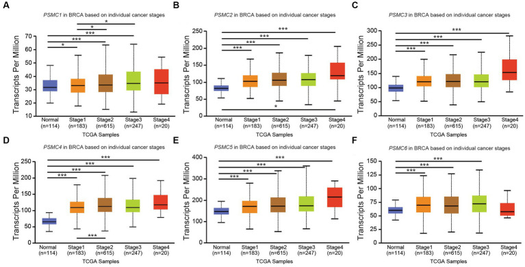 PMC10371016 – fig8