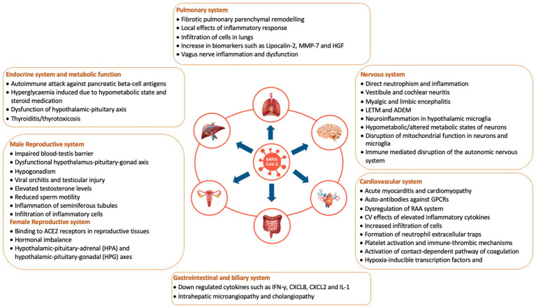 PMC12364900 – fig1