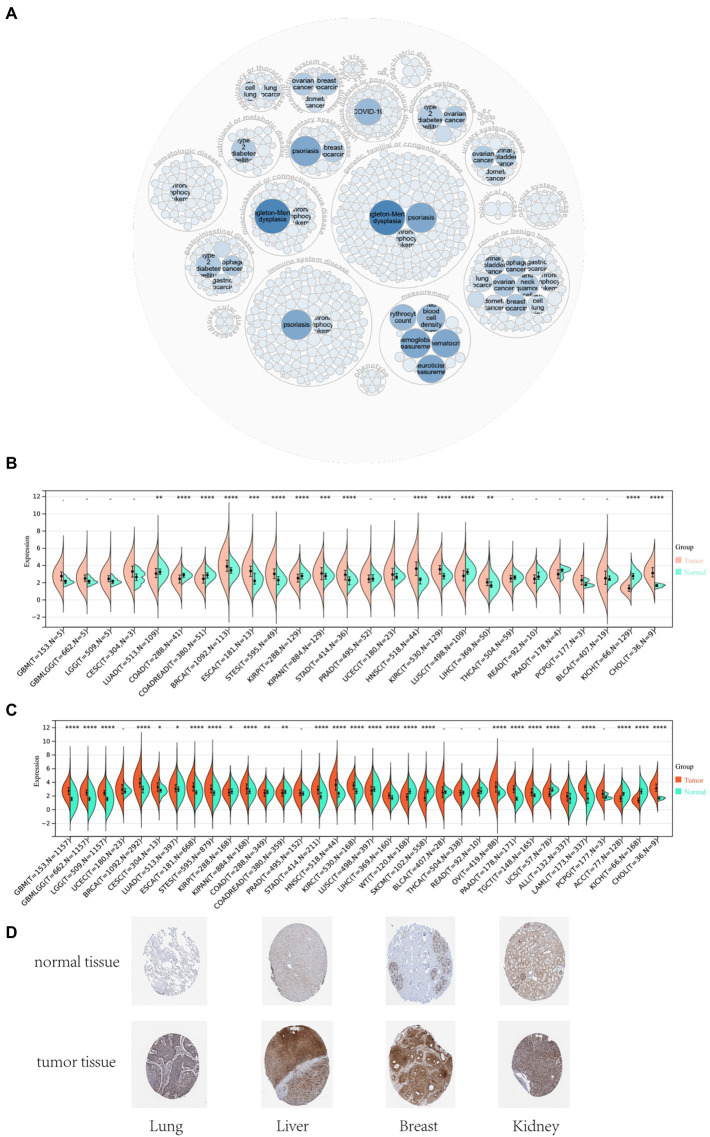 PMC9807228 – fig1