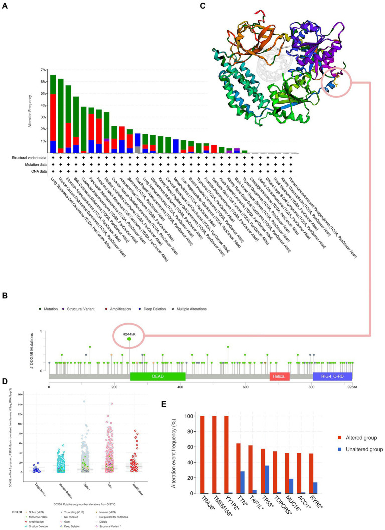 PMC9807228 – fig5