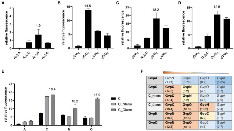 PMC9372576 – fig3