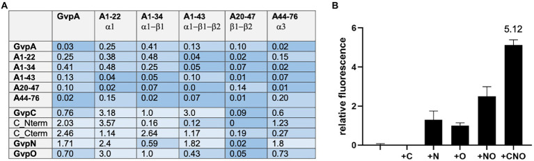 PMC9372576 – fig4
