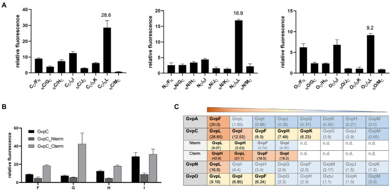 PMC9372576 – fig6