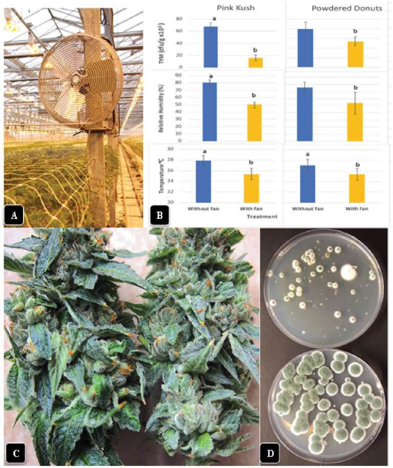 PMC10294073 – fig11