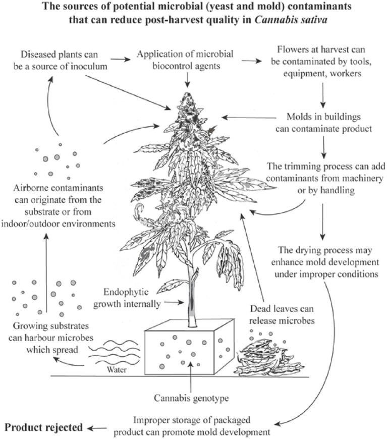 PMC10294073 – fig14